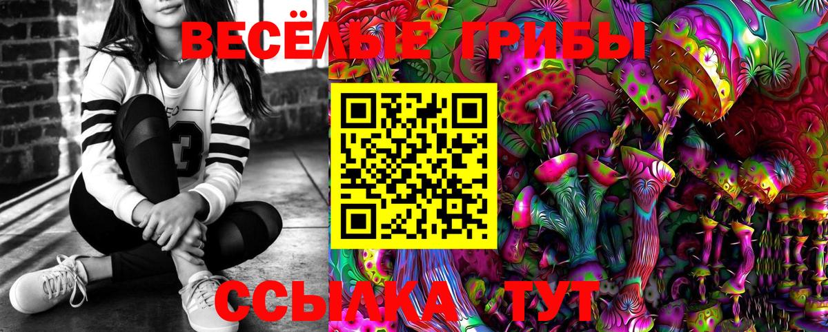 Псилоцибиновые грибы MAGIC MUSHROOMS Элиста