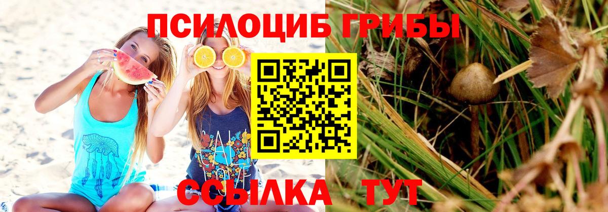 Галлюциногенные грибы Magic Shrooms  Вход с VPN  Элиста  Галлюциногенные грибы MAGIC MUSHROOMS 